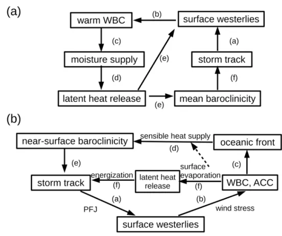 Figure 1.14 – Représentation schématique des boucles de rétroactions proposé par (a) Hoskins and Valdes (1990) et par (b) Nakamura et al