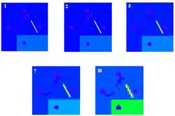 Figure  9:  Virtual  landscapes  of  decreasing  resolution derived from the initial landscape used  by Palmer et al