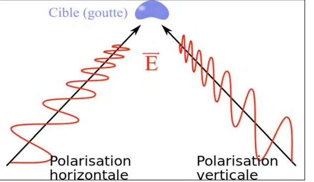 Figure	II-3:	Réception	de	2	signaux	de	polarisation	horizontale	et	verticale	par	une	goutte.	