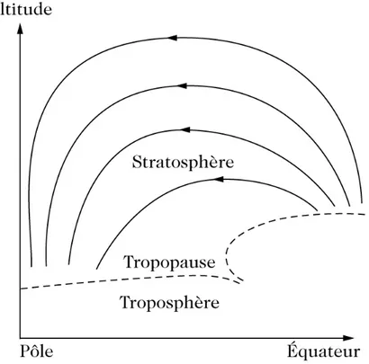 Figure 2.3 – Représentation schématique de la circulation de Brewer-Dobson, extraite de Delmas et al.