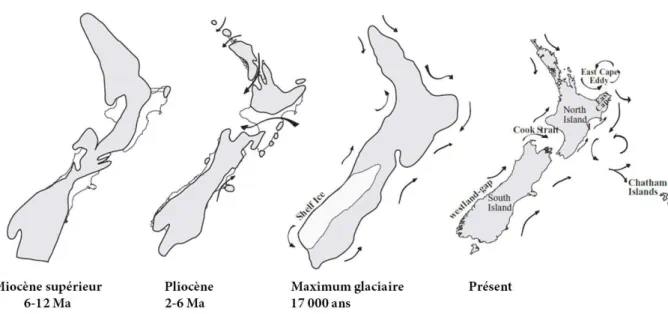 Figure 1. Changements géologiques de l’archipel néo-zélandais depuis 12 millions d’années (Stevens et Hogg, 2003)