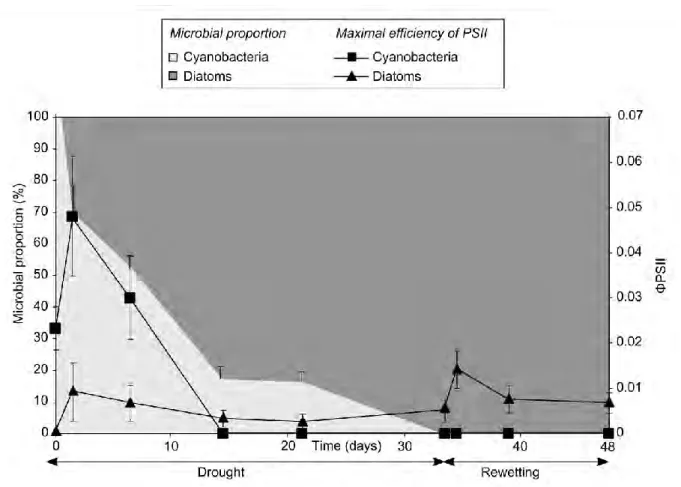 Figure 18: Maximal efficiency of photosystem II (ΦPSII) and microbial proportion inferred from  minimal fluorescence values for mixed diatoms and cyanobacteria in low light conditions 