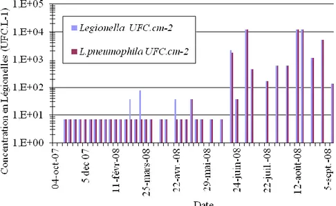 Figure  30  :  Quantité  de  Legionella  spp  et  Legionella  pneumophilla  par  centimètre  carré  de  canalisation