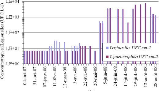 Figure 31 : Quantité de Legionella spp et Legionella pneumophilla par centimètre carré de  canalisation moyennée sur 1 mois