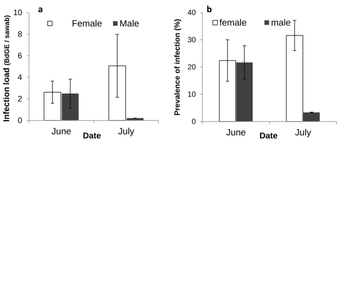 Figure 5-1- Prevalence and intensity of Bd infection during aquatic phase  