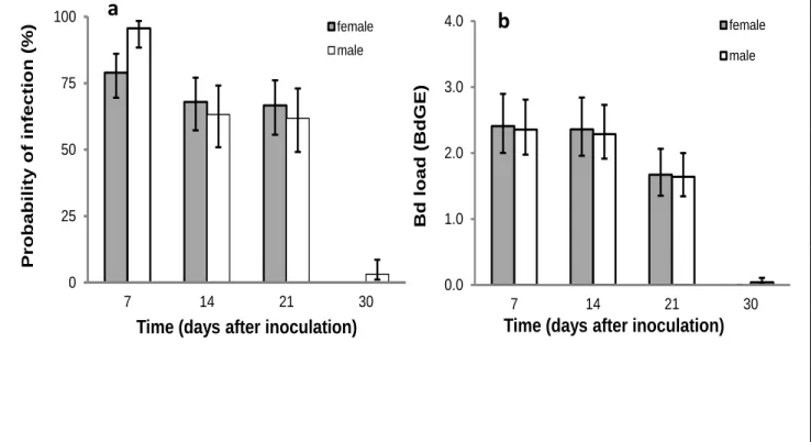 Figure  2-1-  Changes  in  probability  and  intensity  of  the  infection  during  the  course  of  the  experiment