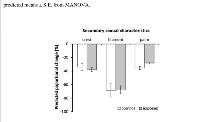 Figure 2-2- Effects of Bd exposure on male’s secondary sexual traits.  
