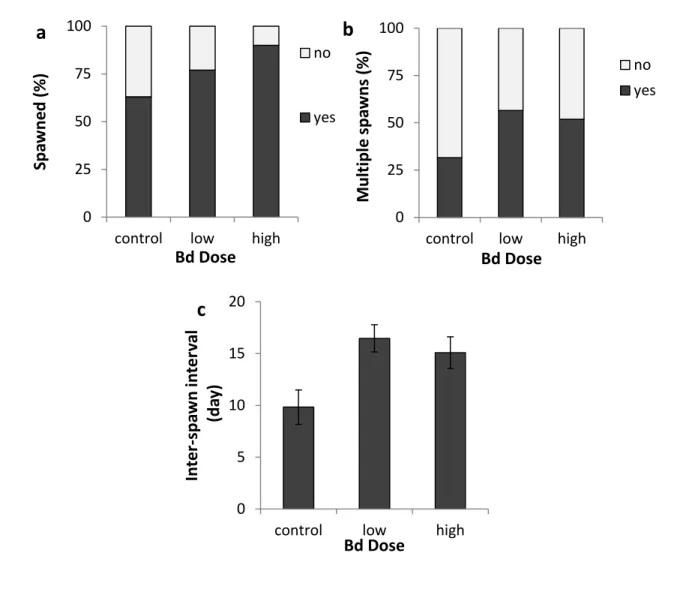 Figure 3-1- Impact of Bd infection on newts’ spawning 