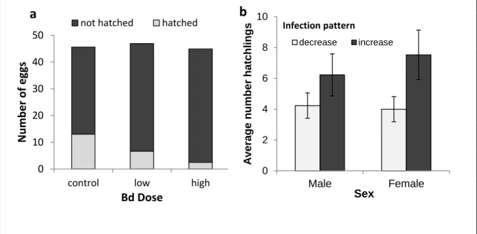 Figure 3-2- Impact of asymptomatic Bd infection on hatching success.   