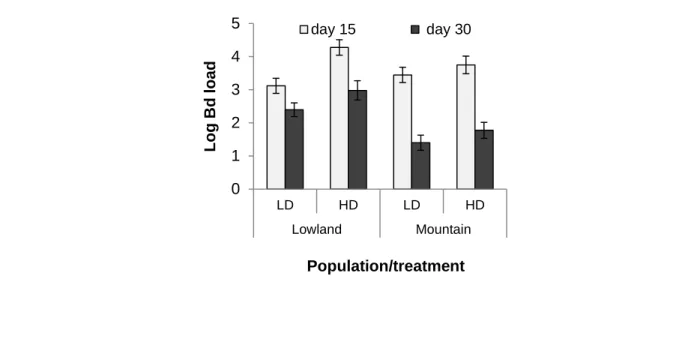 Figure 4-2- Survival of newts over the course of the experiment.  