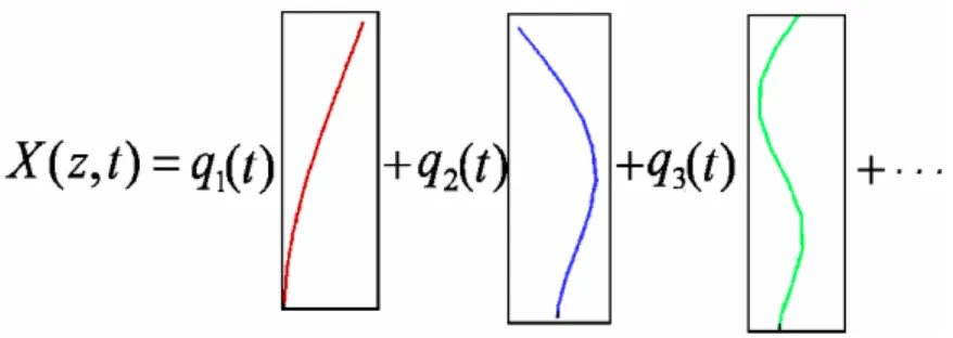 Figure 1.9 – D´ecomposition du mouvement d’une tige flexible sur sa base modale (de Langre and Chaigne, 2008).