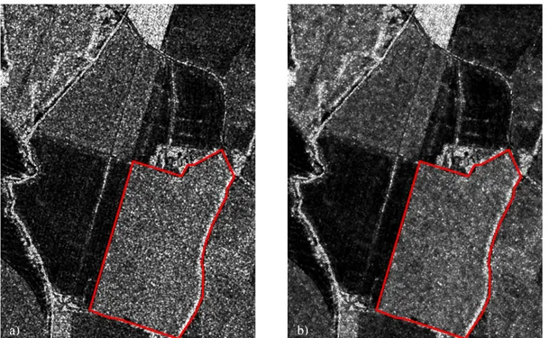 Figure 20 : Image TerraSAR-X originelle a), et après application d’un filtre de Lee (fenêtre spatiale de 10×10 pixels) b)