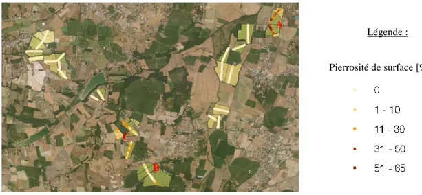 Figure 48 : Estimation de la pierrosité de surface le long des transects ayant servi aux mesures de l’humidité de surface