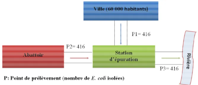 Figure 6.1. Schématisation des points de prélèvement des effluents en France 
