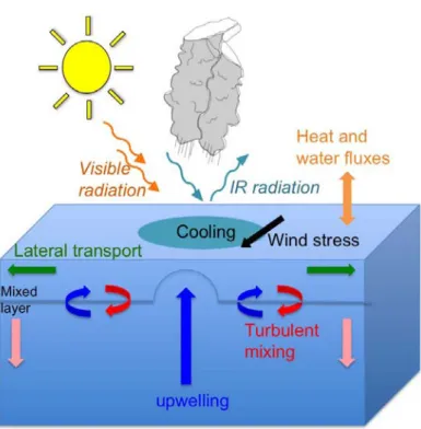 Figure 1.11 - Schematic picture of ocean-atmosphere interactions under a tropical cyclone.