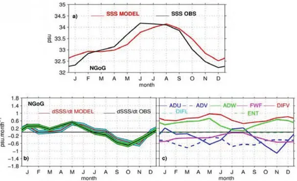 Figure 5. In NGoG region: a) seasonal cycle of SSS from observations (in black) and from the  model (in red); b) salinity tendency terms in the mixed-layer for observations and the model with 