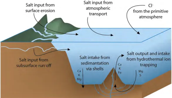 Figure I.2 The simplified geological cycle of salt  
