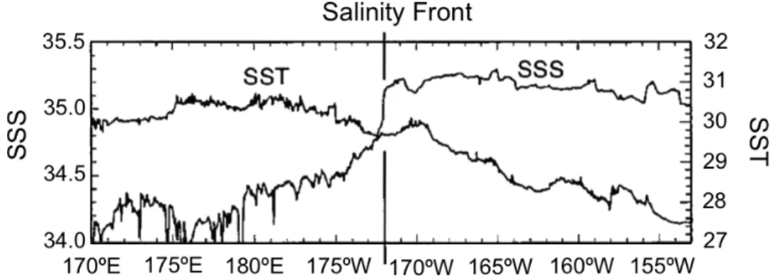 Figure  II.2  Zonal  distribution  of  high-resolution  SST  and  SSS  data  collected  from  a  TSG instrument during the September-October 1994 FLUPAC cruise along the equator (From  Rodier et al., 2000)