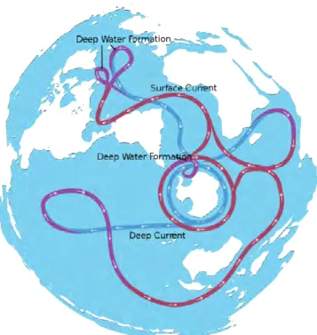 Figure II.4 Schematic representation of the meridional overturning circulation by Van 