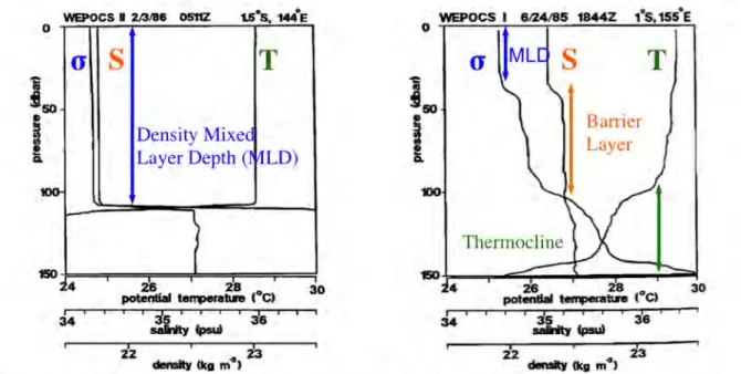 Figure II.5 Potential temperature, salinity and potential density from CTD profiles at  1.5ºS, 144ºE in February 1986 (Left) and at 1ºS, 155ºE in June 1985 (Right)