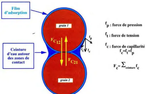 Fig. 1.31: Forces de cohésion dues à la présence d’eau autour des particules, d’après Fécan et 