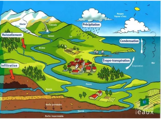 Figure 1.3 – Sch´ ema simplifi´ e du cycle de l’eau, source web : St´ ephanoise des Eaux (2007).