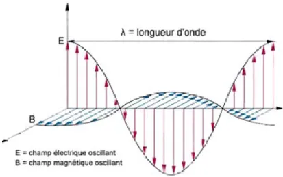 Figure 2.1 – Onde ´ electromagn´ etique avec son champ ´ electrique E et son champ magn´ etique B, source web : Bioinformatics (2002).