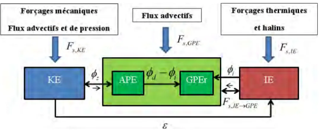 Figure 6  Echanges énergétiques entre les compartiments d'énergie cinétique, éner- éner-gie potentielle disponible AP E et de référence GP E r , et interne