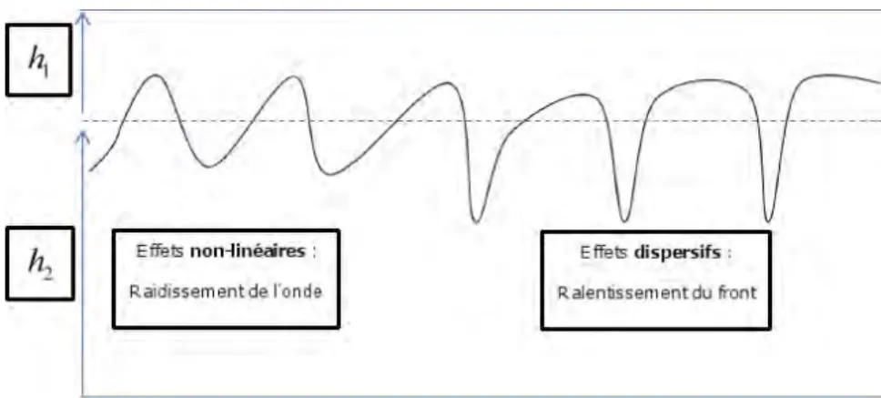 Figure 1.7  Mécanisme séquentiel de formation d'une onde solitaire. La gure 1.7 décompose de manière séquentielle (ctive) la formation d'une onde solitaire