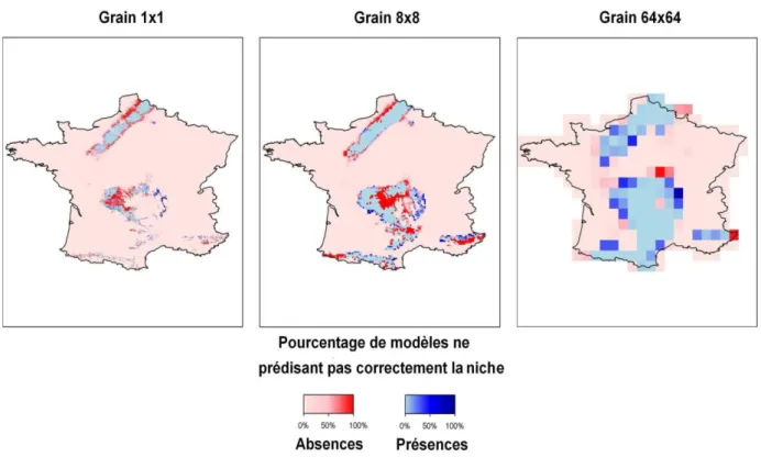 Figure 14 : Effet du grain sur la distribution prédite pour l'espèce de prévalence 5%