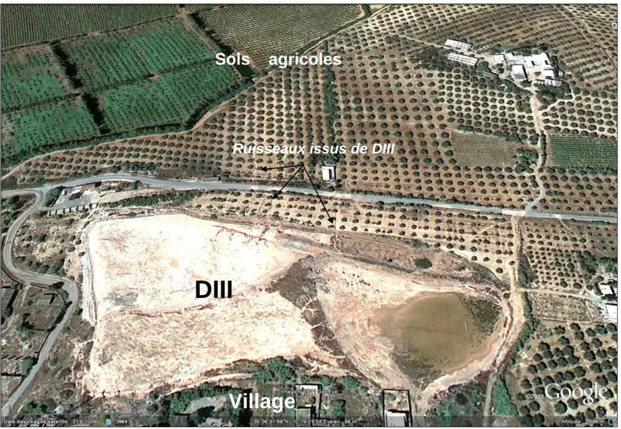 Figure V.6 : Image Google Earth montrant les ravines d’érosion à partir du terril DIII 