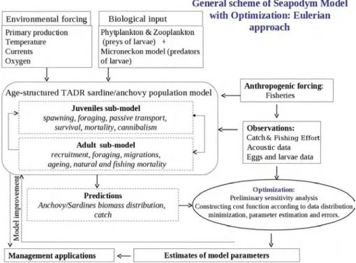 Figure 1.23 : General scheme of the model with optimization approach, modified from Senina et al.