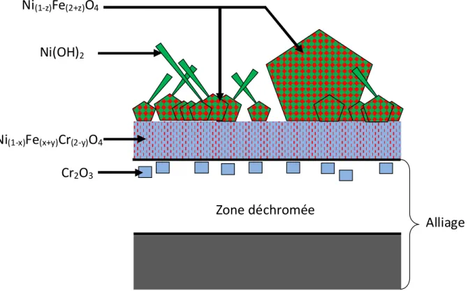 Figure I-8 : Schéma représentant la composition et la structure des oxydes formés à la surface d’un  Inconel 690 (Laghoutaris, 2009)
