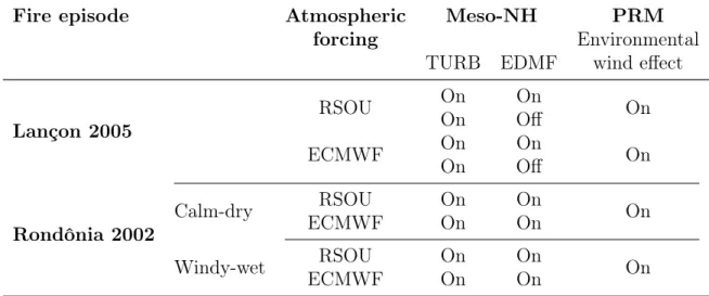 Table 5.3: Summary of the discussed numerical experiments that have been performed with the 1-D models: Meso-NH and PRM.