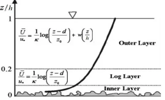Figure I. 4.  Couche limite avec surface libre [Costantino et al., 2007]. 
