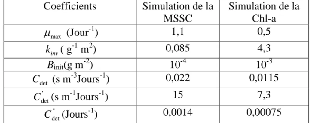 Tableau III. 1. Valeurs de paramètres empiriques et numériques des simulations. 