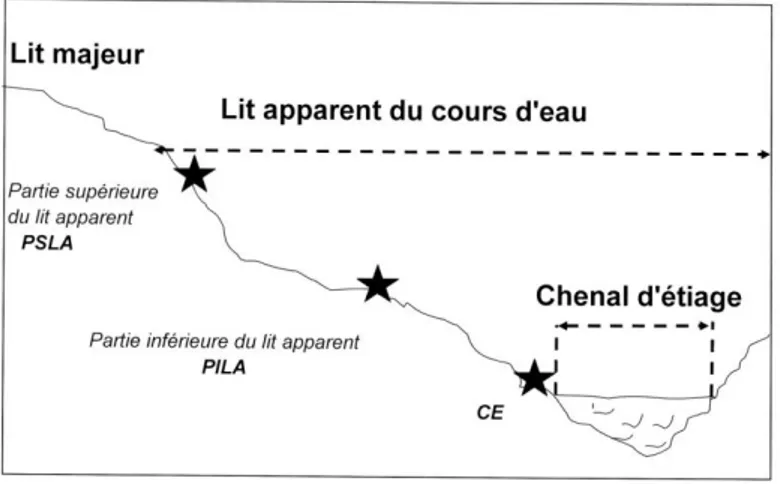 Figure  3 :  Localisation  des  relevés  (  )  sur  la  berge  du  cours d’eau. 