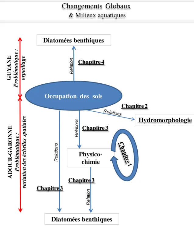 Figure 2. Représentation schématique des différents chapitres de la thèse. 