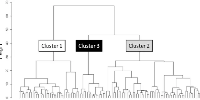 Figure  2.  Classification  of  the  sampling  sites  based  on  the  similarity  of  spatial  hydromorphological data