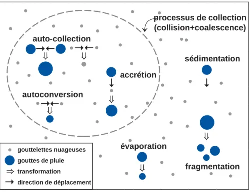Figure 2.10 – Représentation schématique des différents processus modélisés de la formation et de l’évolution de la pluie dans un nuage.