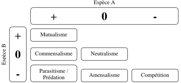 Figure 1 : Représentation classique des interactions entre espèces, sous forme de grille