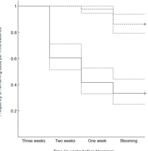 Figure 1. Kaplan-Meier survival plot for H. physophora buds during their maturation until 