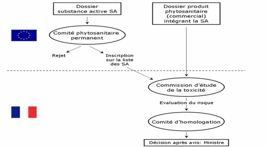Figure 2 : Schéma synthétique de la directive 91/414/CE concernant l'Autorisation de Mise sur le  Marché (AMM) d'un produit phytosanitaire (Debenest, 2007) 