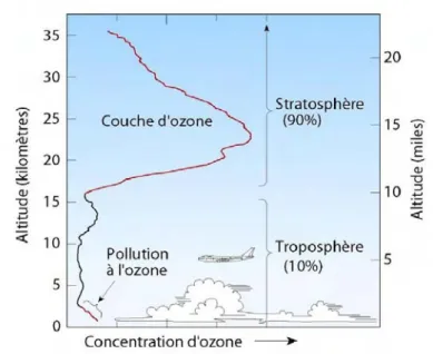 Fig. 1.3 – Proﬁl de l’ozone dans l’atmosph` ere et d´ elimitation troposph` ere/stratosph` ere.