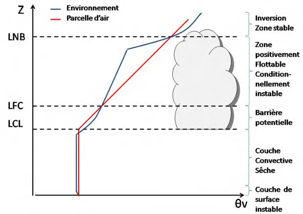 Figure 2.4  Schéma conceptuel des prols de θ v de l'environnement et d'une
