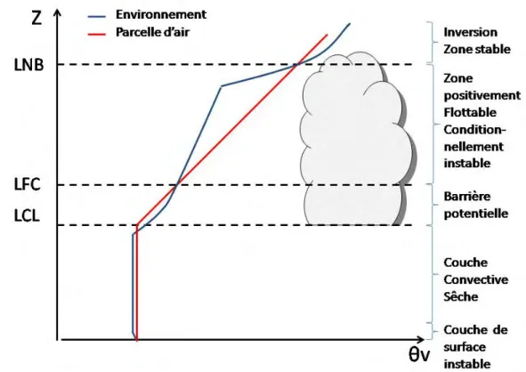 Figure 2.4  Schéma conceptuel des prols de θ v de l'environnement et d'une