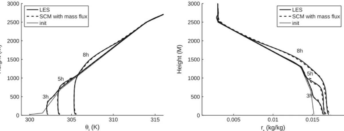 Figure 5 shows θ l and r t profiles at different times. The results obtained with the SCM are