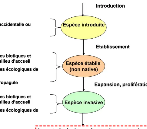 Figure 2  : Les différents niveaux de perception du processus d’introduction 