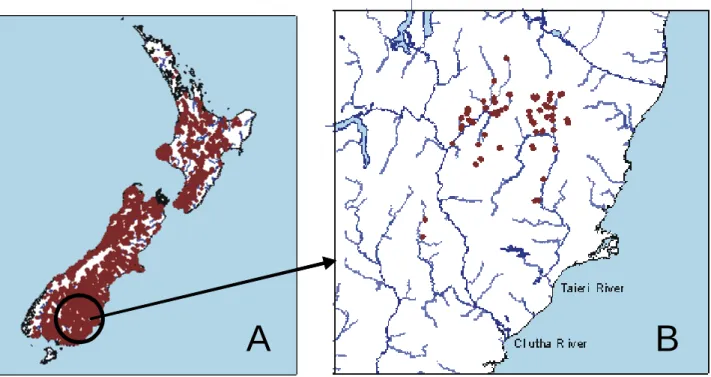 Figure 3 : A) Distribution spatiale de la truite commune (Salmo trutta L.) en Nouvelle 
