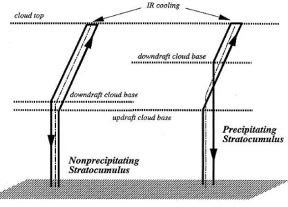 Fig. 2.5: Sch´ ema conceptuel qui illustre les traj´ ectoires possibles des particules d’air nuageux, dans l’es- l’es-pace (θ v , z), dans une couche limite nuageuse pr´ ecipitante et non-pr´ ecipitante, respectivement.